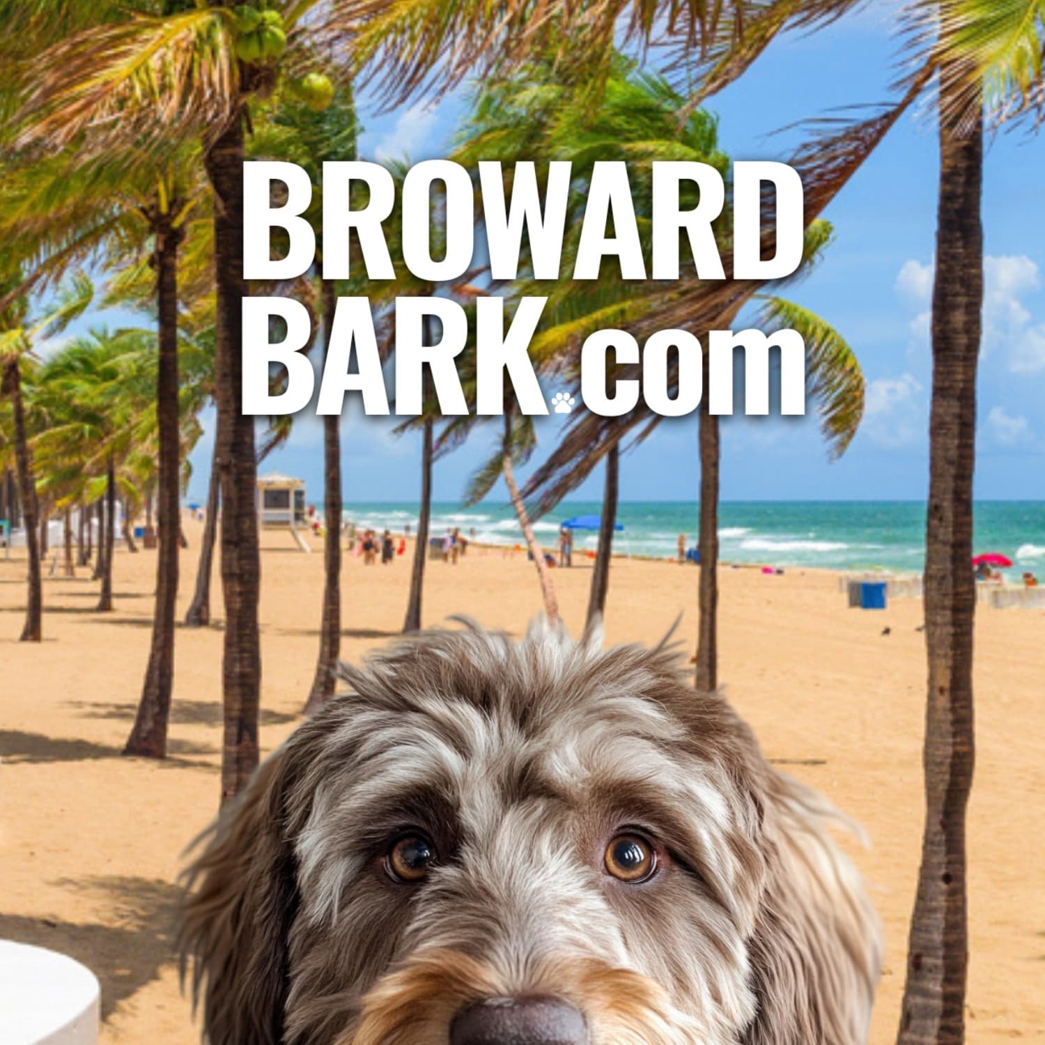 Image of Broward Bark Image of Broward Bark